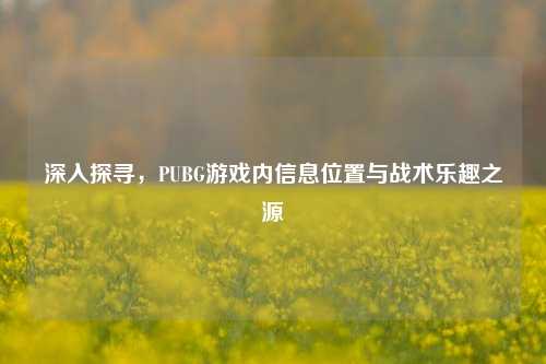 深入探寻,PUBG游戏内信息位置与战术乐趣之源