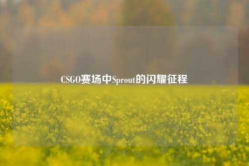 CSGO赛场中Sprout的闪耀征程