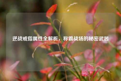 逆战戒指属性全解析,称霸战场的秘密武器