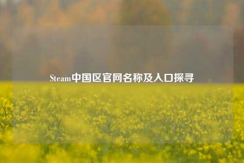 Steam中国区官网名称及入口探寻
