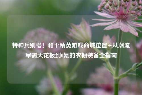 特种兵别懵！和平精英游戏商城位置+从潮流军需天花板到0氪的衣橱装备全指南