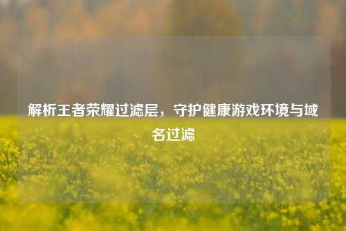 解析王者荣耀过滤层,守护健康游戏环境与域名过滤