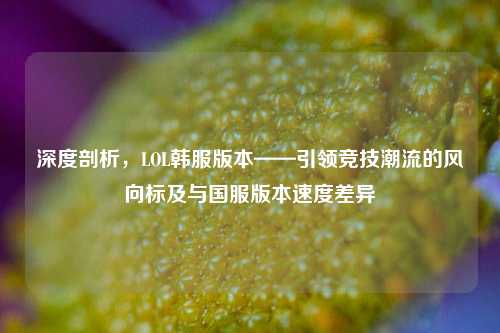深度剖析,LOL韩服版本——引领竞技潮流的风向标及与国服版本速度差异