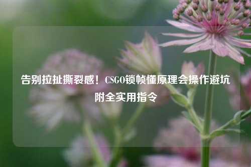 告别拉扯撕裂感!CSGO锁帧懂原理会操作避坑附全实用指令