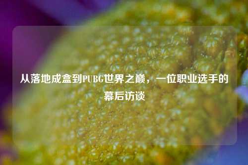 从落地成盒到PUBG世界之巅，一位职业选手的幕后访谈