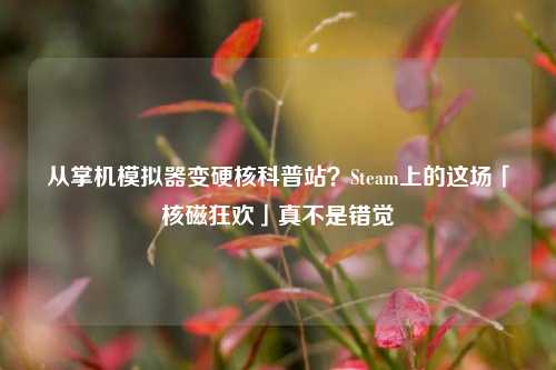 从掌机模拟器变硬核科普站？Steam上的这场「核磁狂欢」真不是错觉