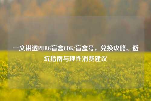 一文讲透PUBG盲盒CDK/盲盒号,兑换攻略、避坑指南与理性消费建议