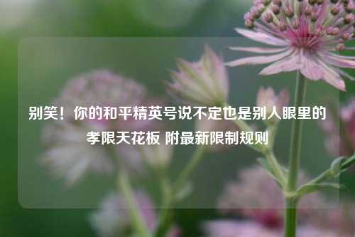 别笑！你的和平精英号说不定也是别人眼里的孝限天花板 附最新限制规则