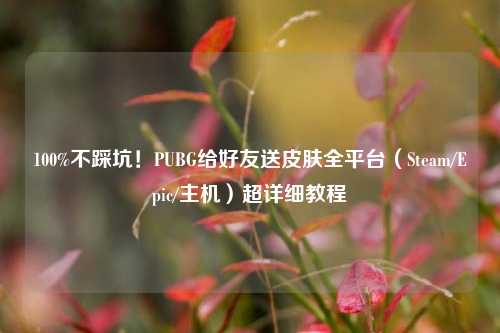 100%不踩坑!PUBG给好友送皮肤全平台(Steam/Epic/主机)超详细教程
