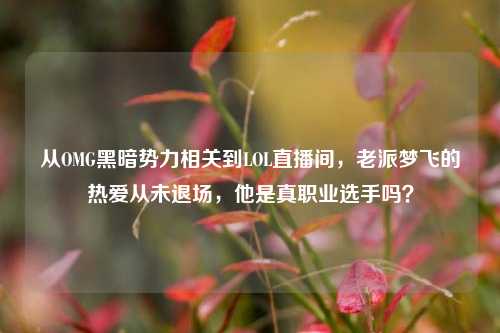 从OMG黑暗势力相关到LOL直播间,老派梦飞的热爱从未退场,他是真职业选手吗?