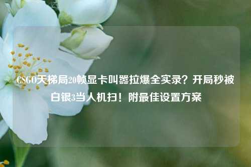 CSGO天梯局20帧显卡叫嚣拉爆全实录?开局秒被白银3当人机扫!附最佳设置方案
