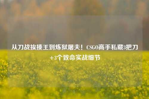 从刀战挨揍王到炼狱屠夫！CSGO高手私藏3把刀+3个致命实战细节
