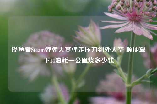 摸鱼看Steam弹弹大赏弹走压力到外太空 顺便算下14油耗一公里烧多少钱
