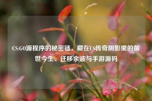 CS:GO源程序的秘密链,藏在CS传奇阴影里的前世今生、迁移余波与手游源码