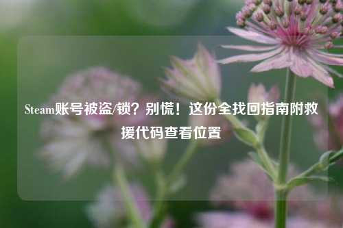 Steam账号被盗/锁？别慌！这份全找回指南附救援代码查看位置