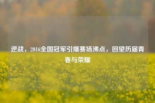 逆战，2016全国冠军引爆赛场沸点，回望历届青春与荣耀