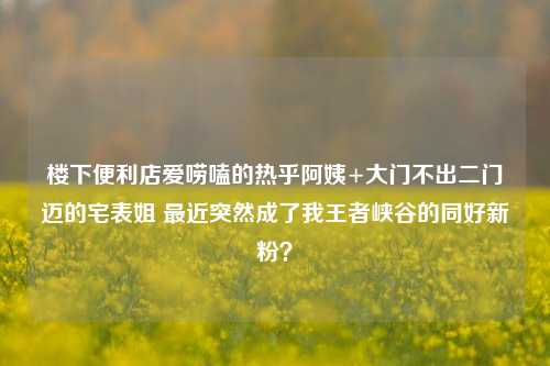 楼下便利店爱唠嗑的热乎阿姨+大门不出二门迈的宅表姐 最近突然成了我王者峡谷的同好新粉？