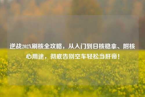 逆战202X刷核全攻略，从入门到日核稳拿、附核心用途，彻底告别空车轻松当肝帝！