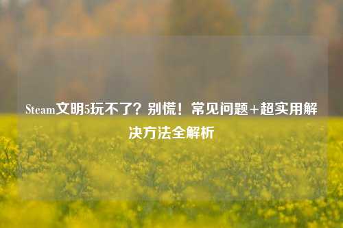 Steam文明5玩不了？别慌！常见问题+超实用解决方法全解析
