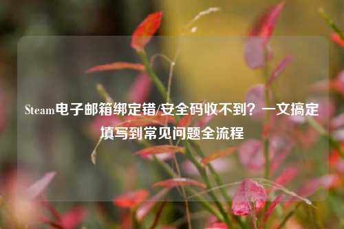 Steam电子邮箱绑定错/安全码收不到？一文搞定填写到常见问题全流程
