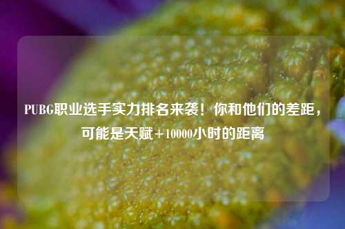 PUBG职业选手实力排名来袭!你和他们的差距,可能是天赋+10000小时的距离