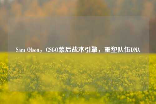 Sam Olson，CSGO幕后战术引擎，重塑队伍DNA