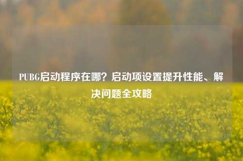 PUBG启动程序在哪？启动项设置提升性能、解决问题全攻略