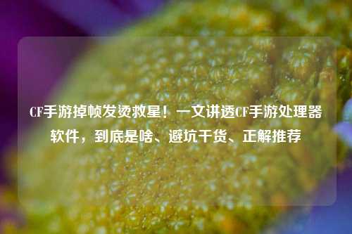 CF手游掉帧发烫救星!一文讲透CF手游处理器软件,到底是啥、避坑干货、正解推荐