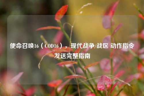使命召唤16（COD16），现代战争/战区 动作指令发送完整指南