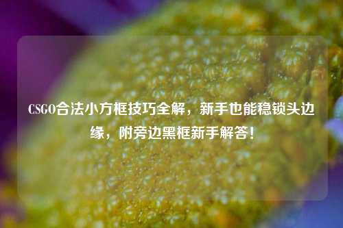 CSGO合法小方框技巧全解,新手也能稳锁头边缘,附旁边黑框新手解答!