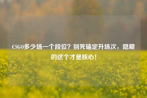 CSGO多少场一个段位？别死磕定升场次，隐藏的这个才是核心！