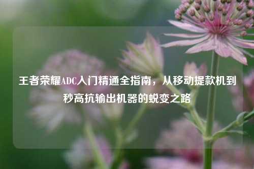 王者荣耀ADC入门精通全指南，从移动提款机到秒高抗输出机器的蜕变之路