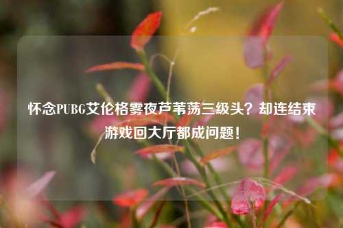 怀念PUBG艾伦格雾夜芦苇荡三级头?却连结束游戏回大厅都成问题!
