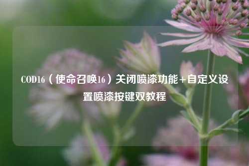 COD16（使命召唤16）关闭喷漆功能+自定义设置喷漆按键双教程