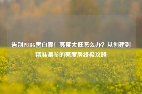 告别PUBG黑白雾！亮度太低怎么办？从创建到精准调参的亮度房终极攻略