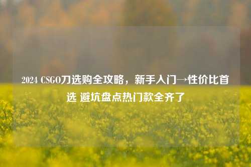 2024 CSGO刀选购全攻略,新手入门→性价比首选 避坑盘点热门款全齐了