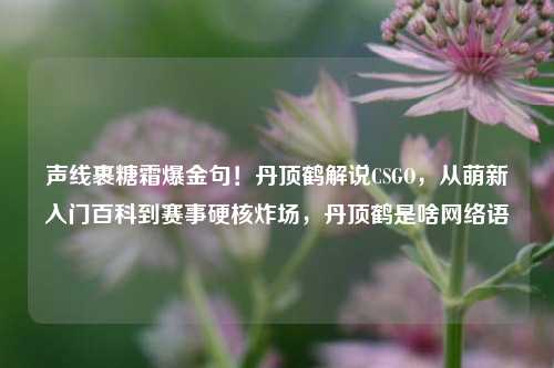 声线裹糖霜爆金句!丹顶鹤解说CSGO,从萌新入门百科到赛事硬核炸场,丹顶鹤是啥网络语