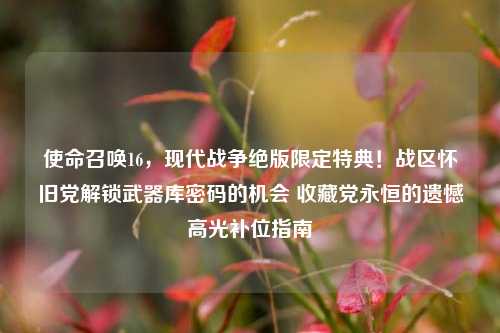 使命召唤16,现代战争绝版限定特典!战区怀旧党解锁武器库密码的机会 收藏党永恒的遗憾高光补位指南