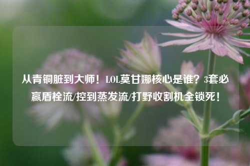 从青铜脏到大师！LOL莫甘娜核心是谁？3套必赢盾栓流/控到蒸发流/打野收割机全锁死！