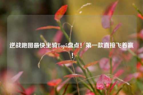 逆战跑图最快坐骑Top5盘点!第一款直接飞着赢!