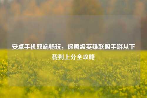 安卓手机双端畅玩,保姆级英雄联盟手游从下载到上分全攻略