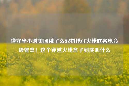蹲守半小时美团饿了么双拼抢CF火线联名电竞级餐盒！这个穿越火线盒子到底叫什么