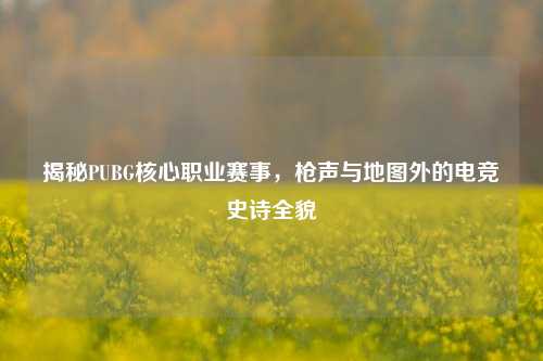 揭秘PUBG核心职业赛事，枪声与地图外的电竞史诗全貌
