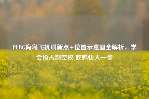 PUBG海岛飞机刷新点+位置示意图全解析，学会抢占制空权 吃鸡快人一步