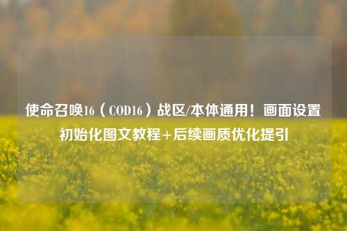 使命召唤16（COD16）战区/本体通用！画面设置初始化图文教程+后续画质优化提引