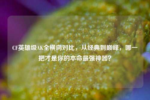 CF英雄级AK全横向对比,从经典到巅峰,哪一把才是你的本命最强神器?