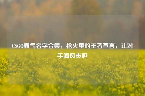 CSGO霸气名字合集，枪火里的王者宣言，让对手闻风丧胆