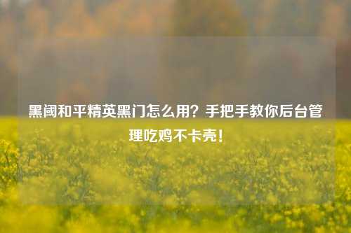 黑阈和平精英黑门怎么用?手把手教你后台管理吃鸡不卡壳!