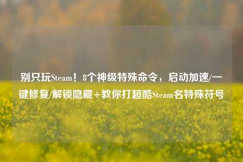 别只玩Steam！8个神级特殊命令，启动加速/一键修复/解锁隐藏+教你打超酷Steam名特殊符号