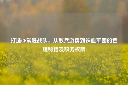 打造CF常胜战队，从散兵游勇到铁血军团的管理秘籍及职务权限